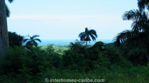 photos for SOSUA: LOT PALM GARDEN 1 590 M2